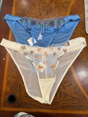 Anthropologie (2) Embroidered Sheer Bikini Panty